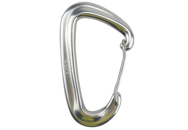 Professional Climbing Carabiner D Shape Mountaineering Buckle Hook 12KN Safety Lock Outdoor Climbing Equipment Accessory