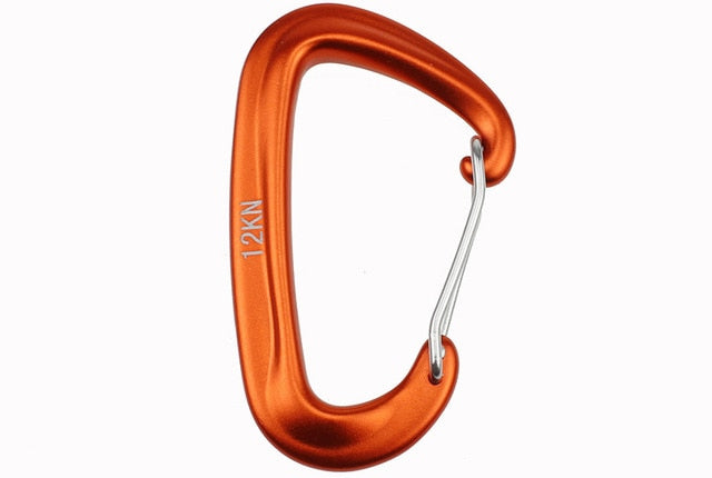 Professional Climbing Carabiner D Shape Mountaineering Buckle Hook 12KN Safety Lock Outdoor Climbing Equipment Accessory